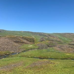 Meet your Posher, Darissa